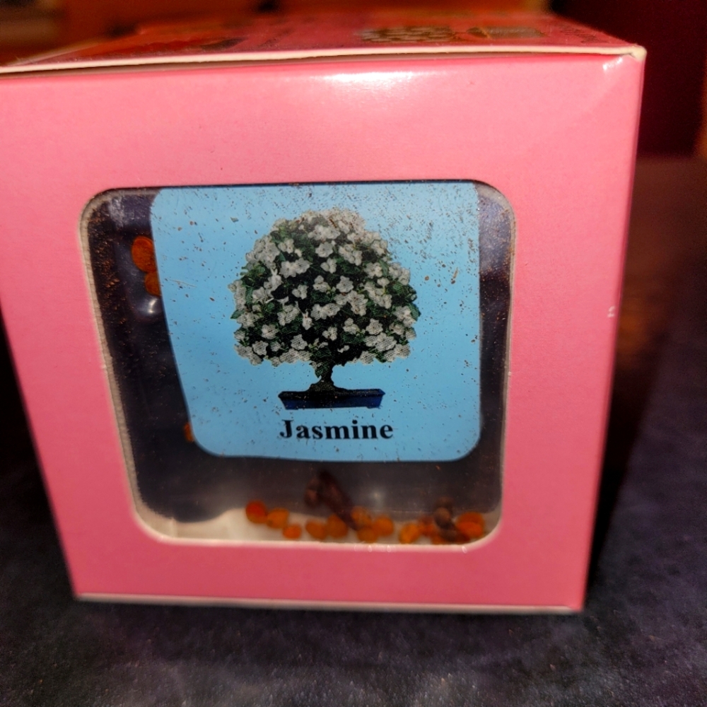 Jasmine Mini Bonsai Seed Kit
